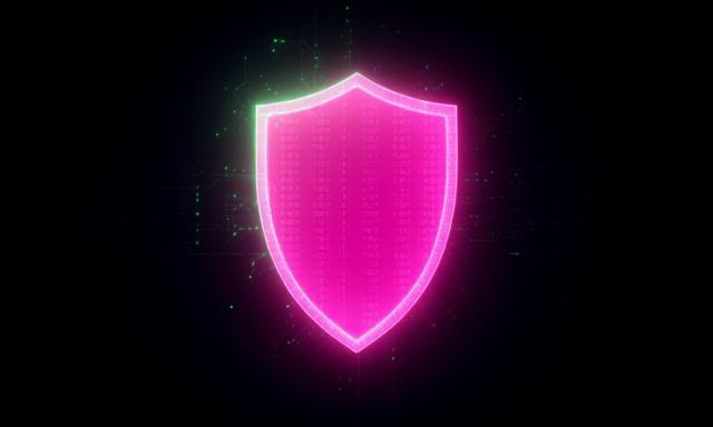 Secure AI Shield Concept